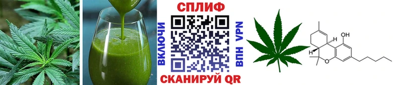 кракен как зайти  Онега  Cannafood марихуана  что такое  